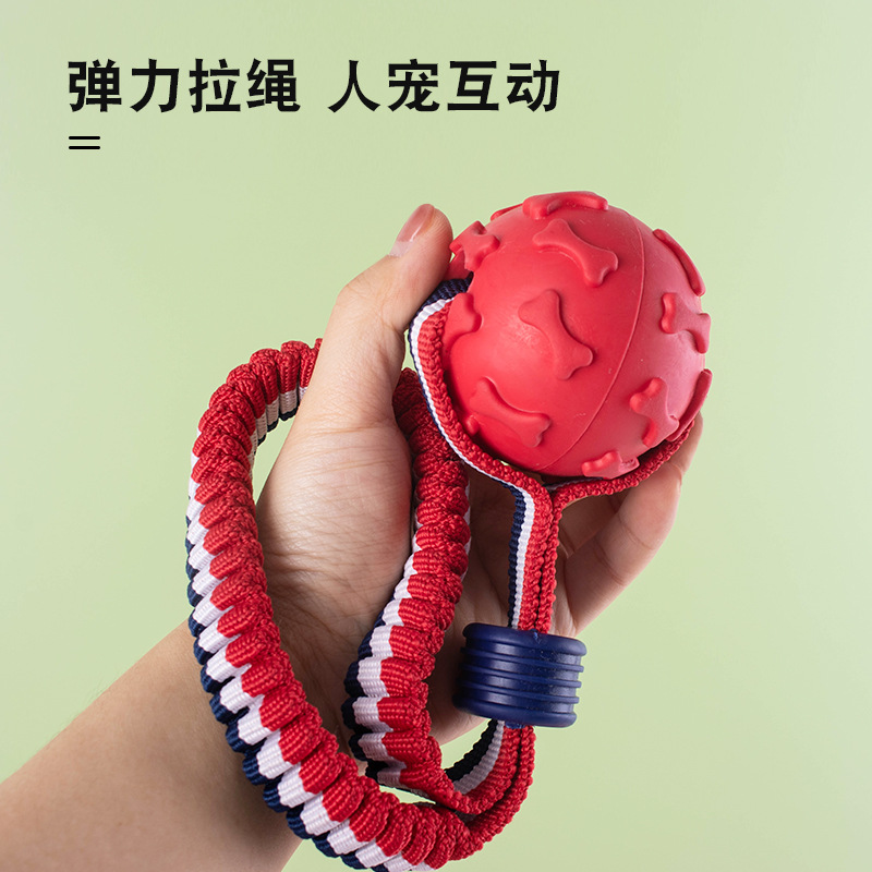 Bóng đồ chơi cho chó cao su đúc