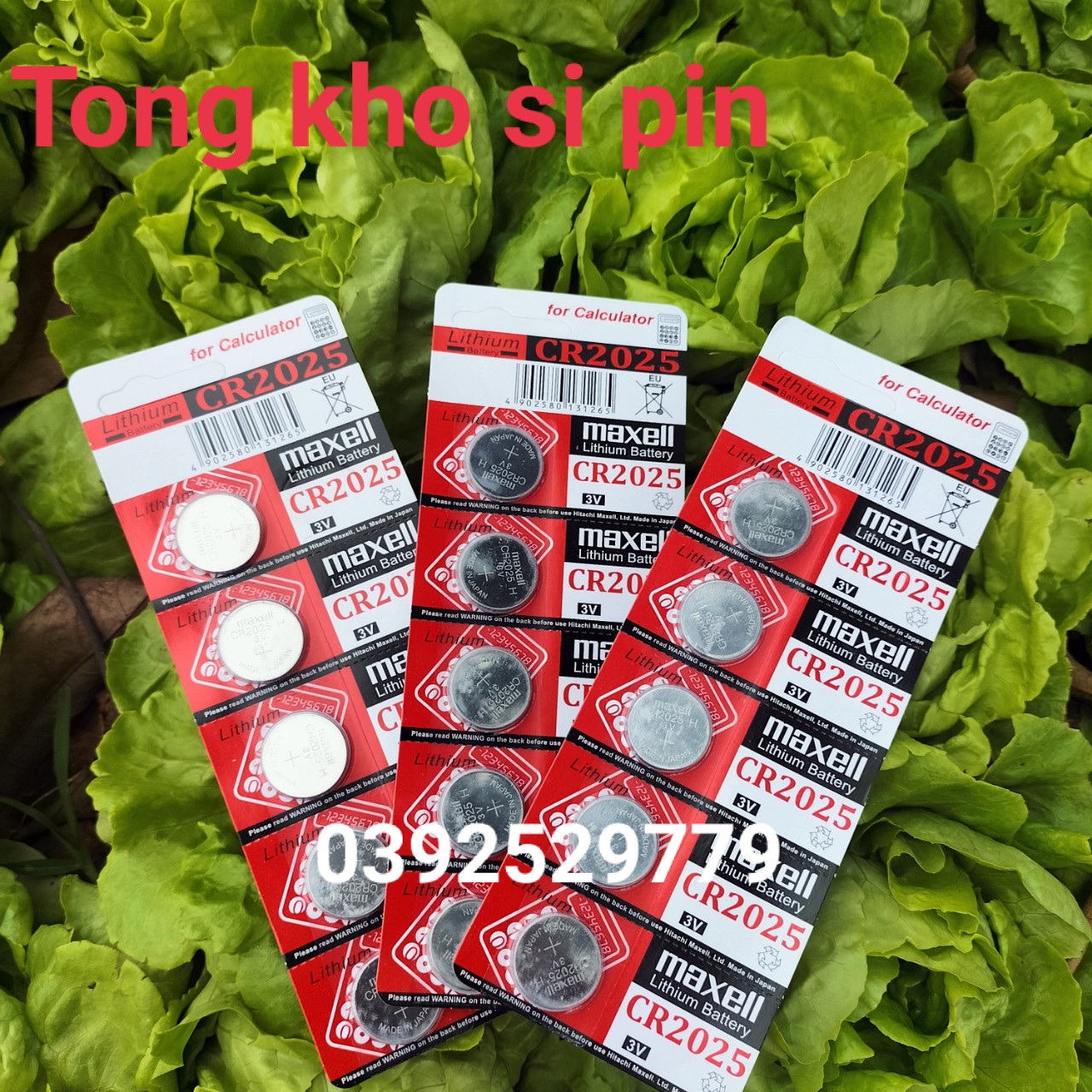 5 Viên Pin CR2032 Pin 3V  Maxcell Lithium