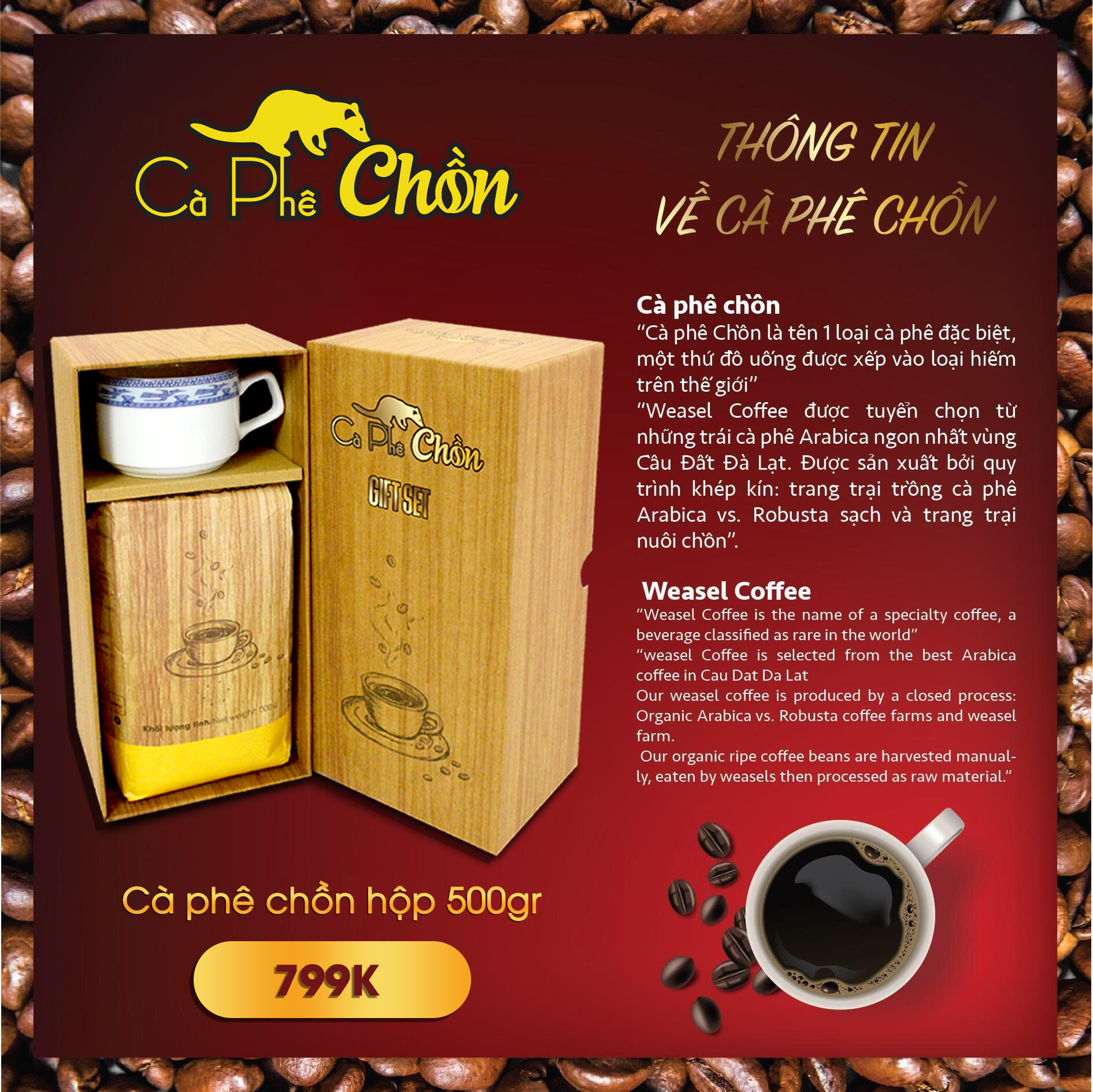 Cà phê chồn cao cấp - 500g (ly sứ) - Thích hợp làm quà tặng