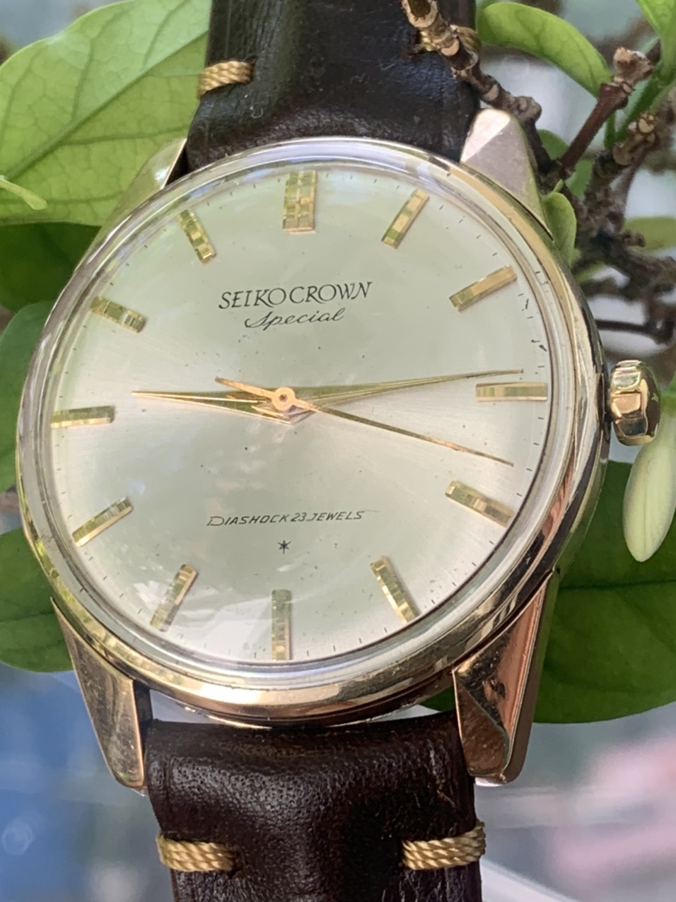 [HCM]Đồng hồ nam SEIKO CROWN bọc vàng toàn thân