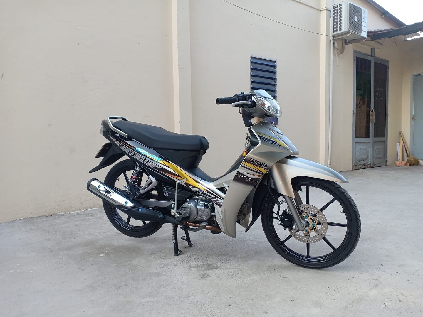 Tem rời Sirius bạc đen tổ ong