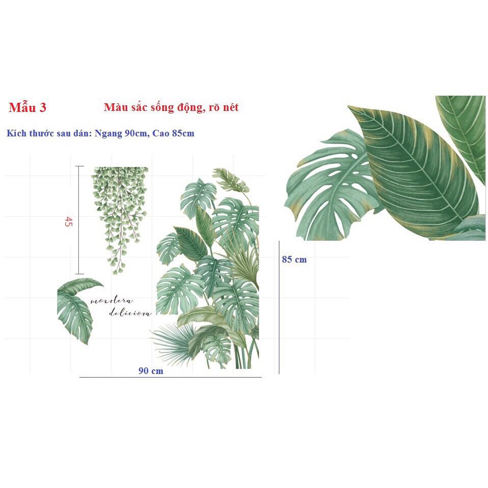 decal dán tường mẫu Hàn Quốc mẫu cành cọ lá