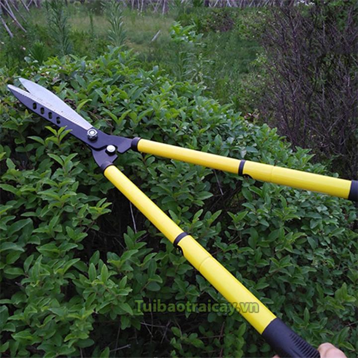 Kéo cắt tỉa cây cảnh, hàng rào