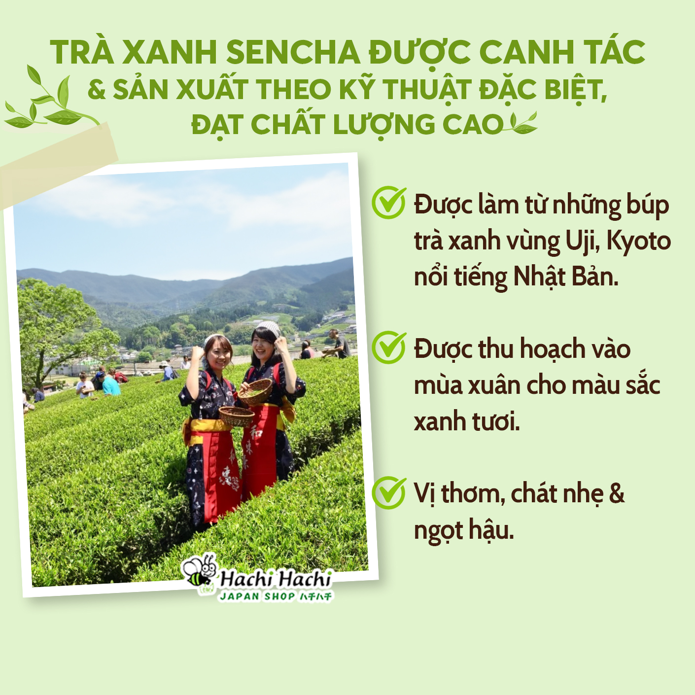 (Lá) Trà xanh Sencha Yanoen 120g - Hachi Hachi Japan Shop