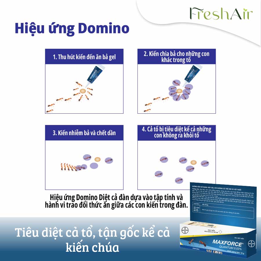 [COMBO DIỆT KIẾN+GIÁN] Maxforce Quantum Vs Blattanex Cockroch Gel, Tiết Kiệm Hơn (ANTS AND COCKROACHES CONTROL)