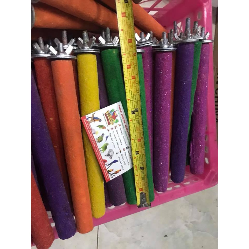 Mài móng cho vẹt size trung