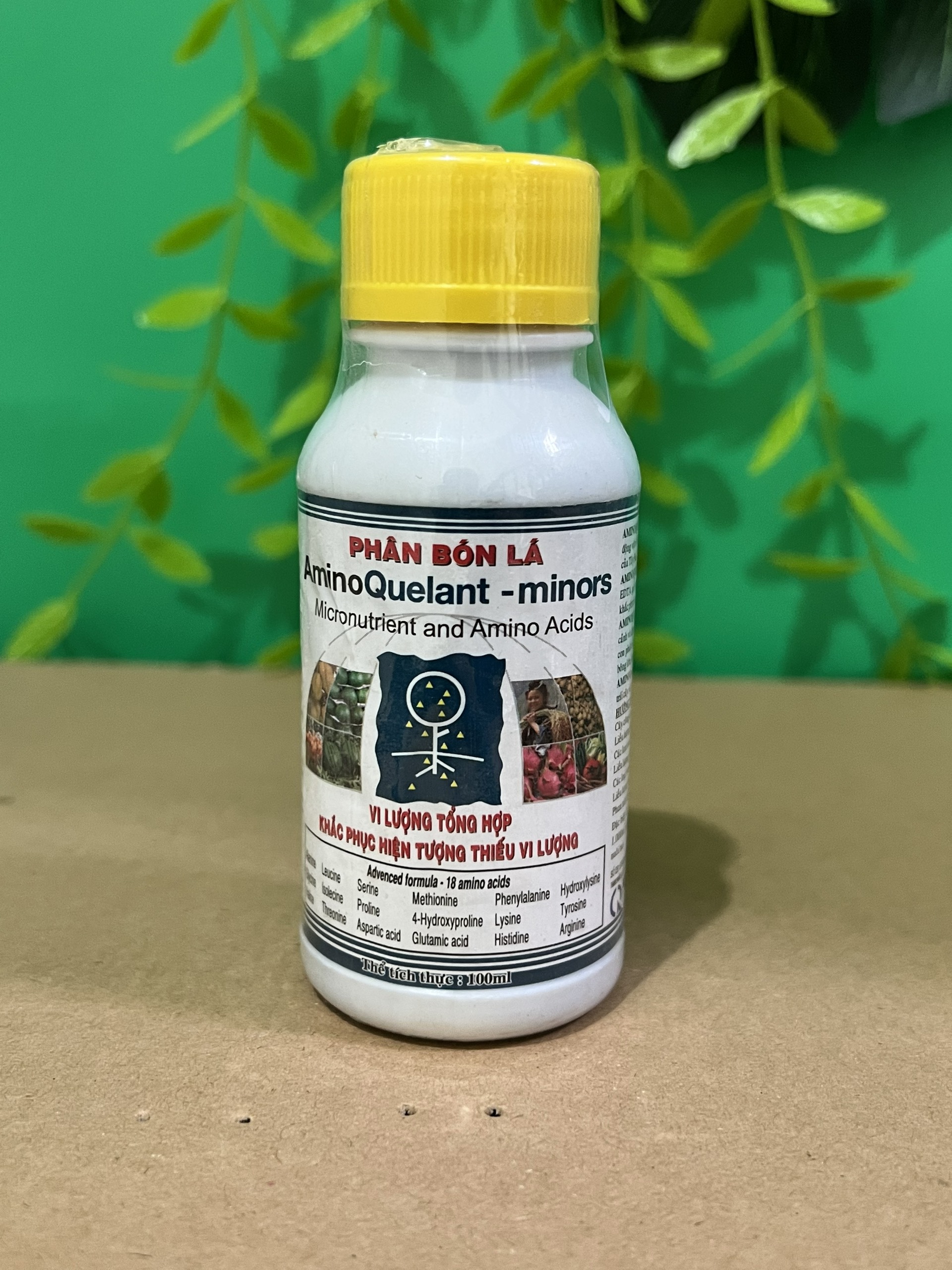Phân bón lá Growmore vi lượng Amino Quelant - Minors, khắc phụ hiện tượng thiếu vi lượng dành cho hoa lan cây cảnh