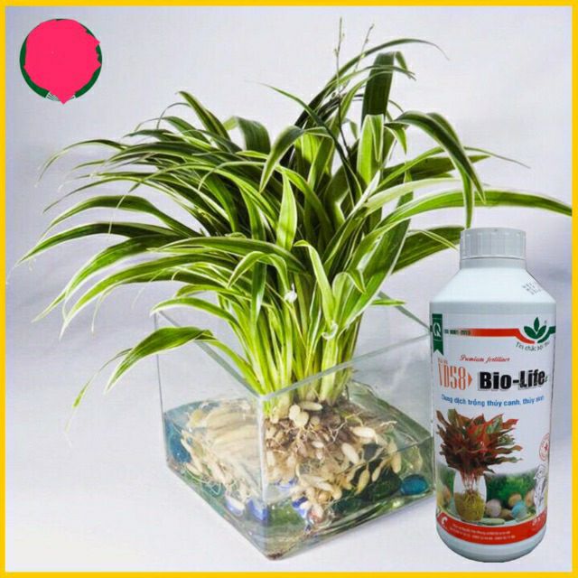 dung dịch thủy canh Bio Life chai 1lit