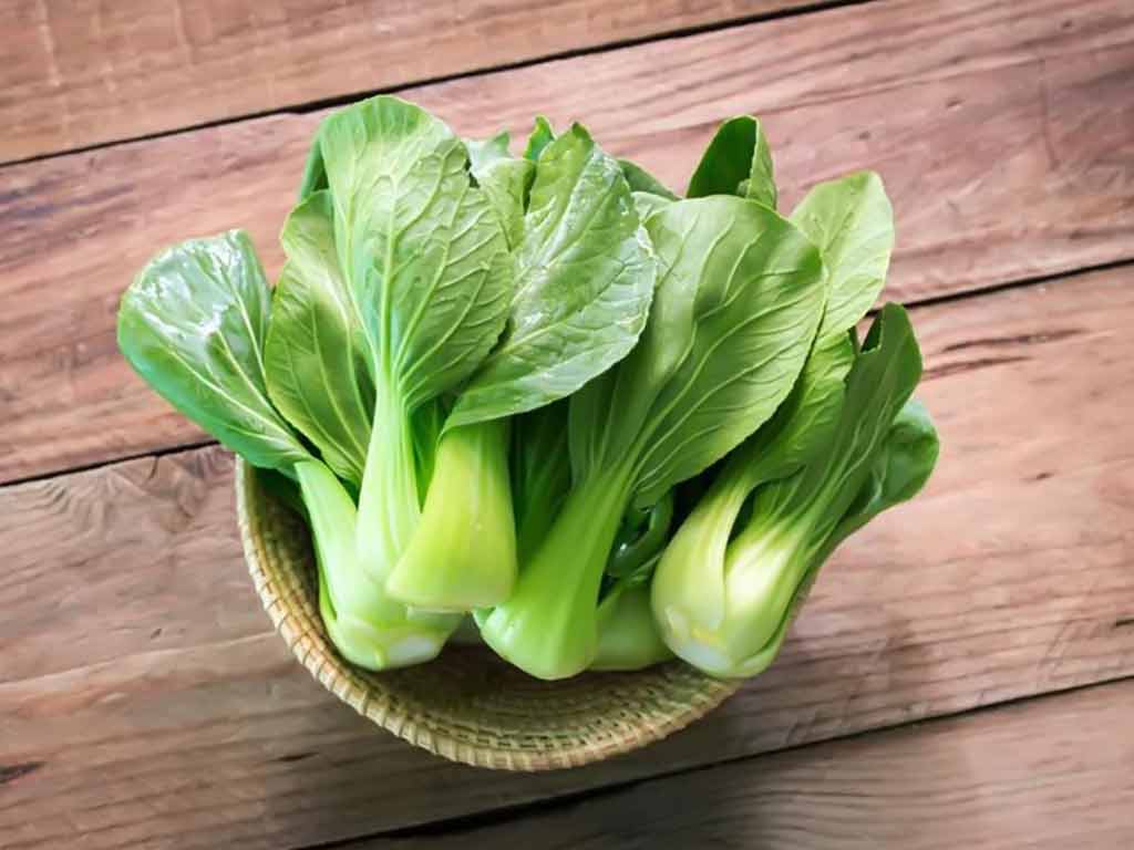 Combo 2 Hạt Giống Rau (Rau Mồng Tơi - Cải Thìa) Dễ Trồng,Năng Suất Cao,Thiết Yếu Cho Mỗi Bữa Cơm Gia Đình, An Toàn, Tiết Kiệm - Nông Sản Vàng