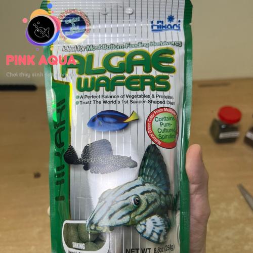 Thức ăn cho cá Pleco Hikari Tropical Algae Wafers