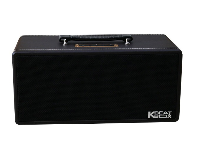 Loa Kéo Di Động Acnos KS362D