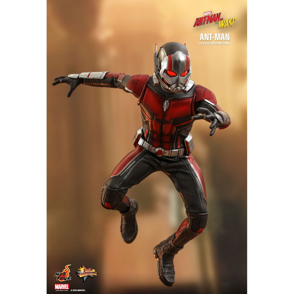 [HCM][Order báo giá] Mô hình chính hãng Hottoys MMS497: Antman (Antman and The Wasp)