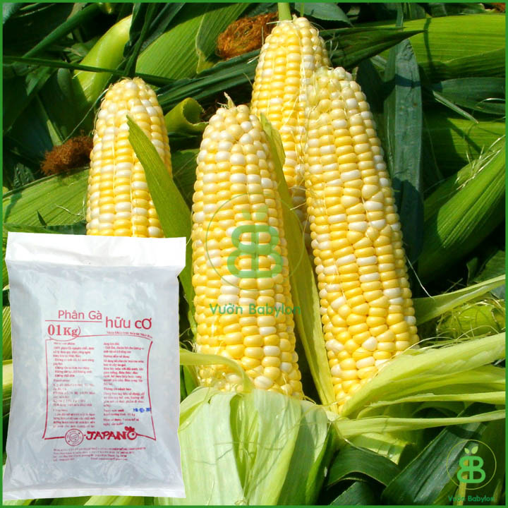 Phân Gà Hữu Cơ Nhật Bản 1KG