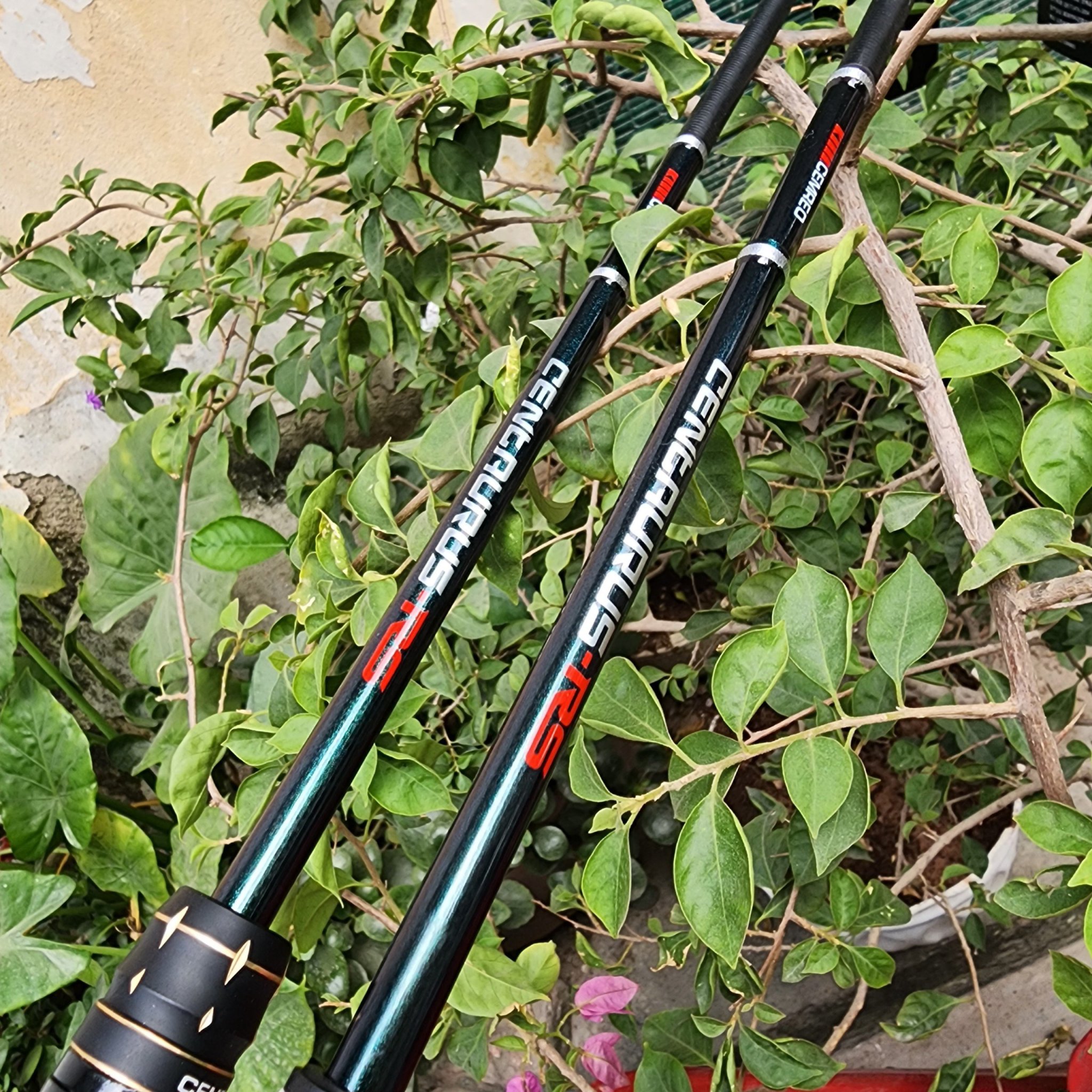 Cần Câu Lure 2 Khúc Cemreo Centaurus Cao Cấp - CL2K081