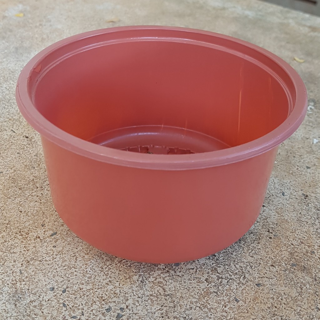 Chậu ươm lớn (có 2 màu trắng, nâu)