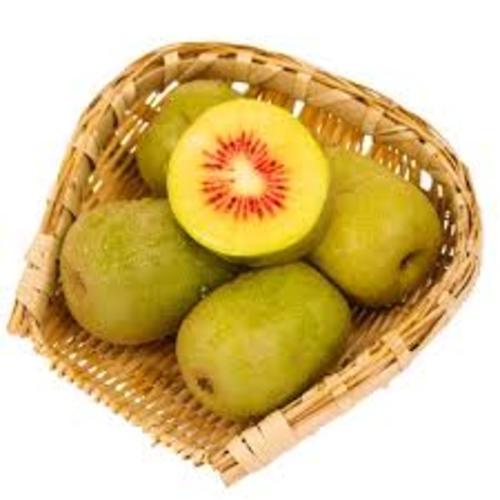 CÂY GIỐNG KIWI VÀNG CHỊU NHIỆT