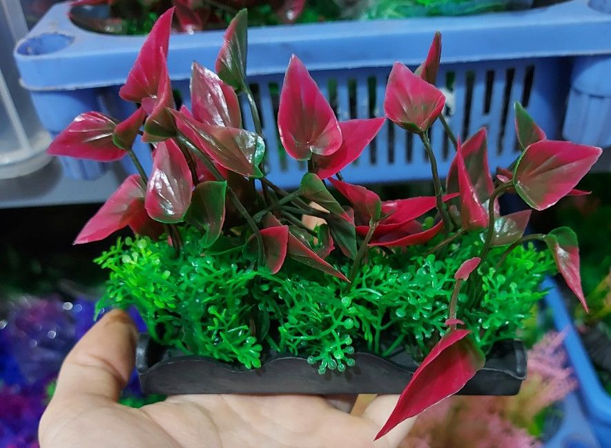 Cây nhựa trang trí bể cá: mẫu đế dài 12 cm