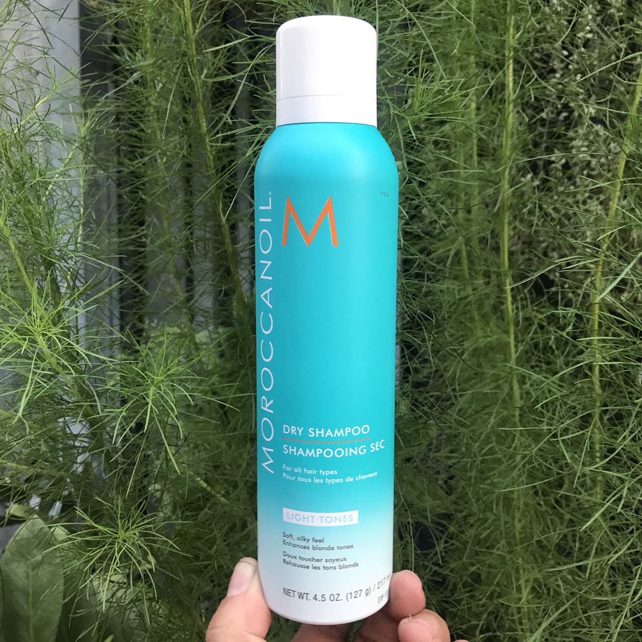 Dầu gội khô Dry Shampoo Moroccanoil Light Tones 217ml tông sáng