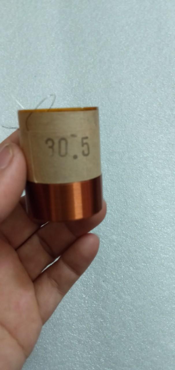 Côn loa 30.5 2 lớp - điện tử nhật anh