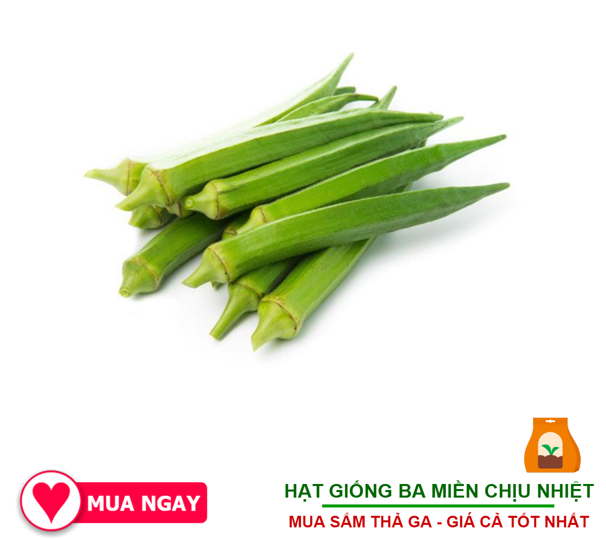 1kg hạt giống đậu bắp xanh mềm