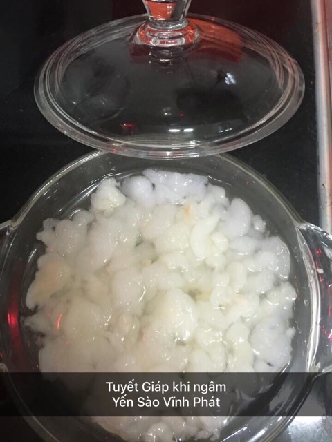 [HCM]Tuyết Giáp