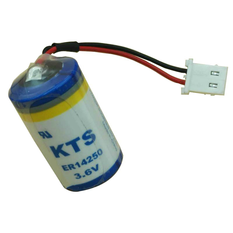 Pin KTS ER14250 3.6V 1/2 AA Pin PLC Delta