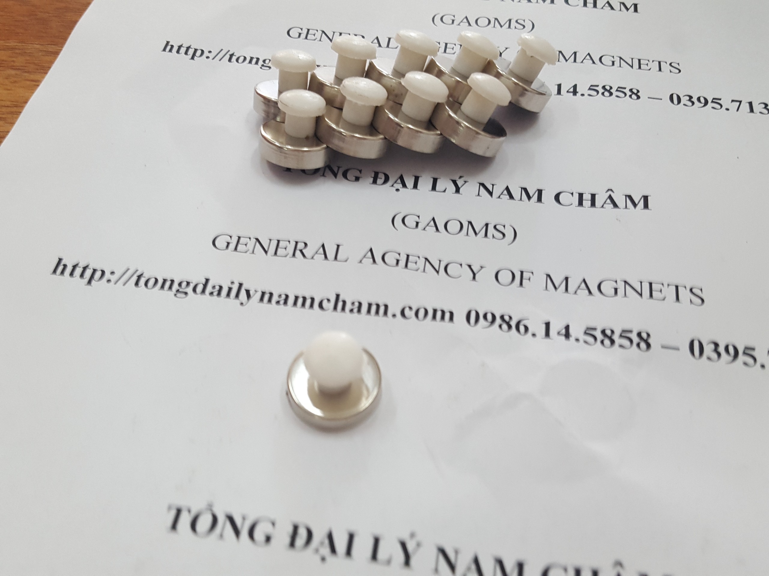 Nam châm đính bảng D16mm, có núm trắng- 20 cái
