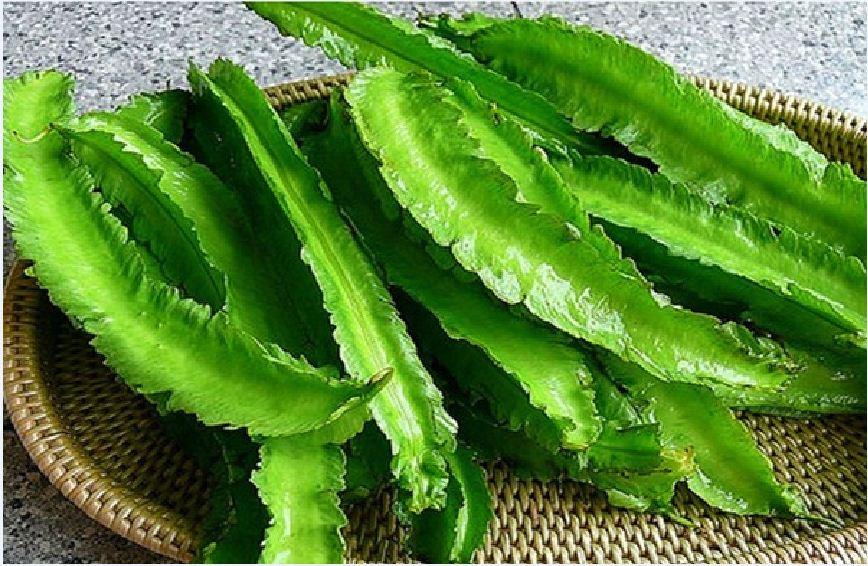 Combo 5 gói hạt giống các loại đậu dễ trồng ( đậu hà lan. đậu cove. đâu rồng .đậu bắp xanh và đỏ)