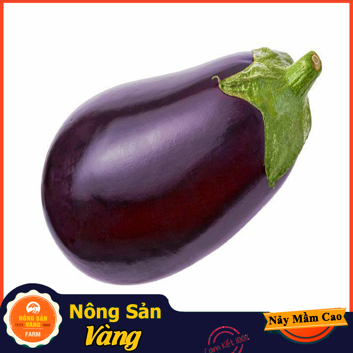 Easy to grow (pack of 50 seeds)-shallow yellow