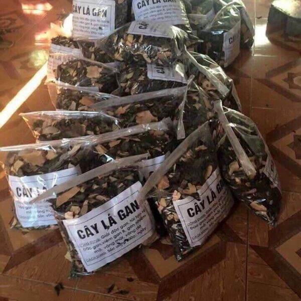 500gr cây lá gan(cây mát gan)