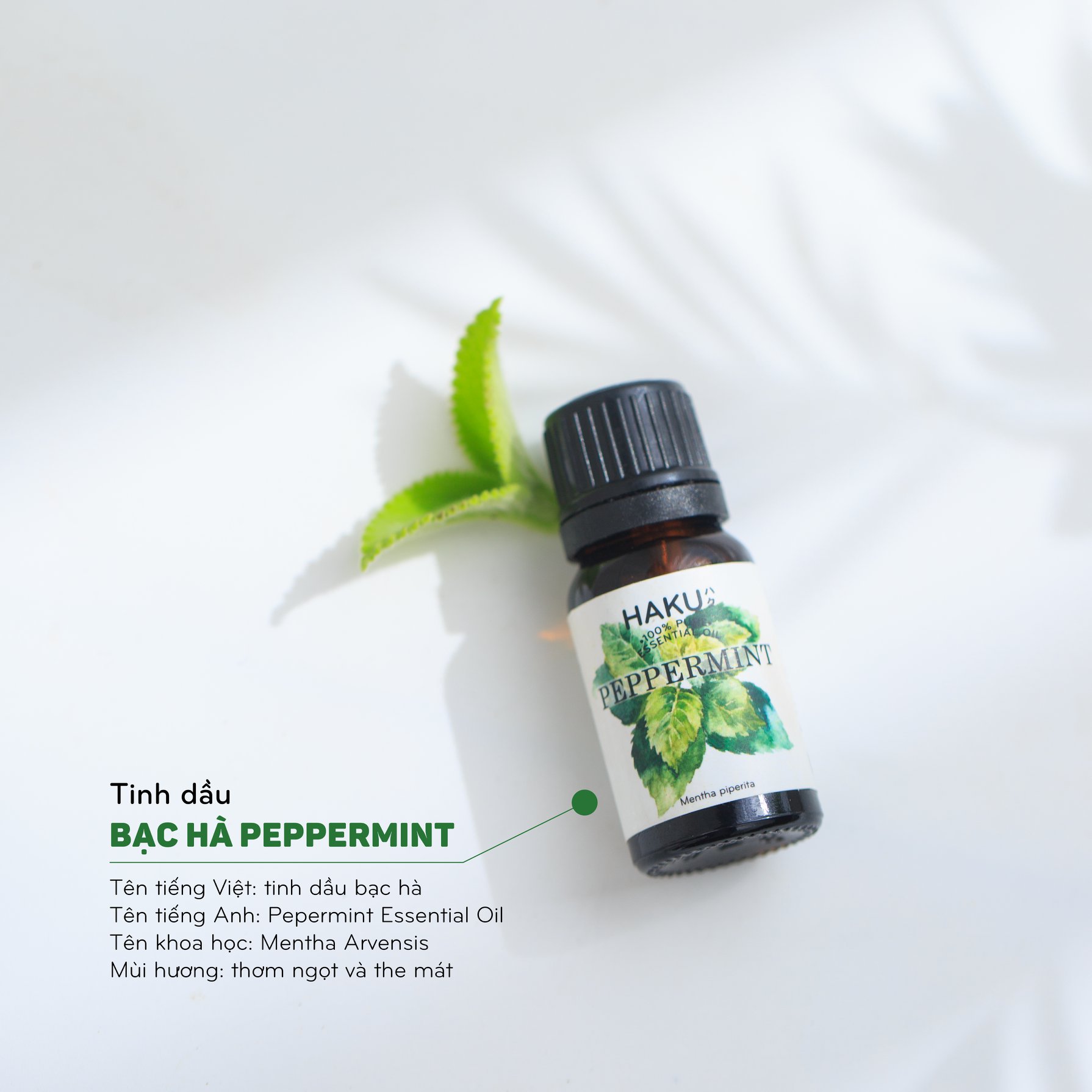 Tinh Dầu Bạc Hà HAKU 10ml