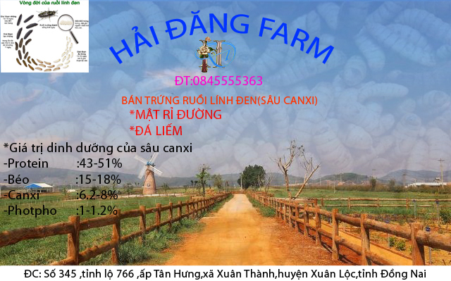 trứng ruồi lính đen(sâu canxi)-10g