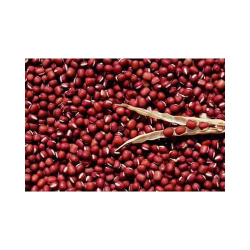 1Kg Đậu đỏ hữu cơ Đà Lạt loại 1