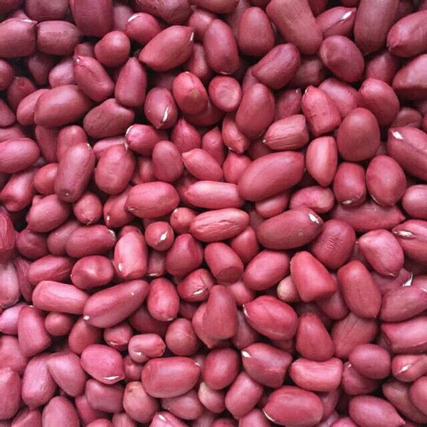 Lạc (đậu phộng) đỏ/ trắng chưa rang 500gram