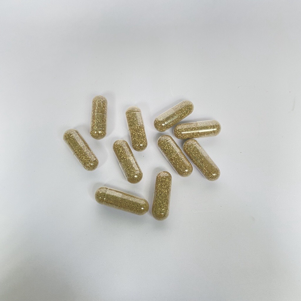Artemia nước ngọt, ấp không oxi viên con nhộng tiện lợi
