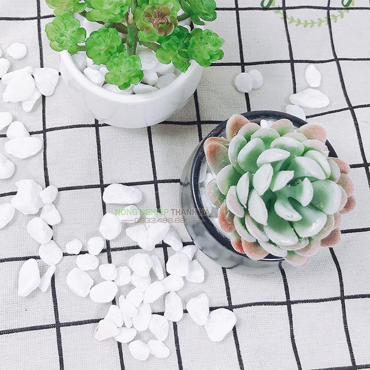 Sỏi trắng trang trí kích thước 1x2cm