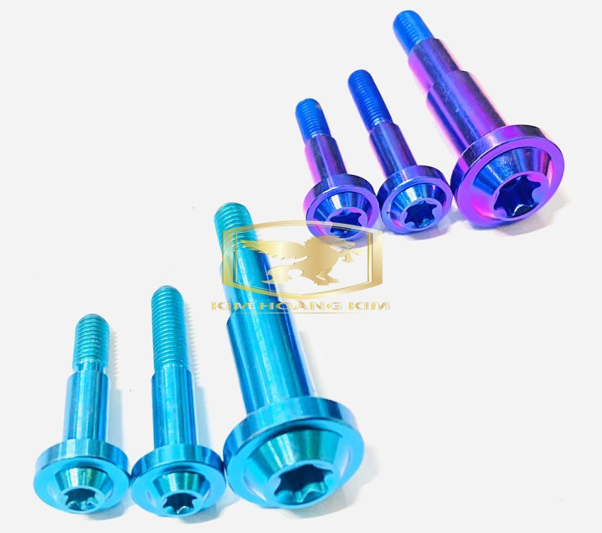 Bộ 3 con ốc TITAN GR5 gắn tay thắng VARIO (màu xanh tím và xanh lục bảo) , Sản Phẩm Chất Lượng, Gian Hàng Uy Tín, Giá Cả Cực Tốt, Mua Ngay.