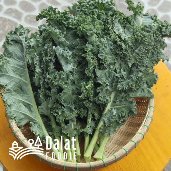 Cải Xoăn Kale hữu cơ 250G - [Giao hàng ngay tại TPHCM, Hà Nội]