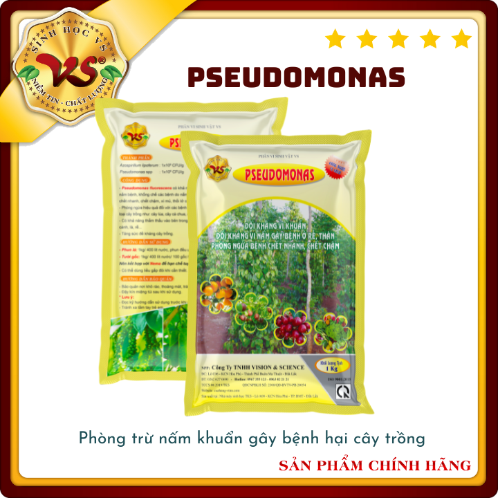 Gói 1Kg - PSEUDOMONAS: Phòng Và Trừ Bệnh Héo Xanh, Thối Rễ, Vàng Lá
