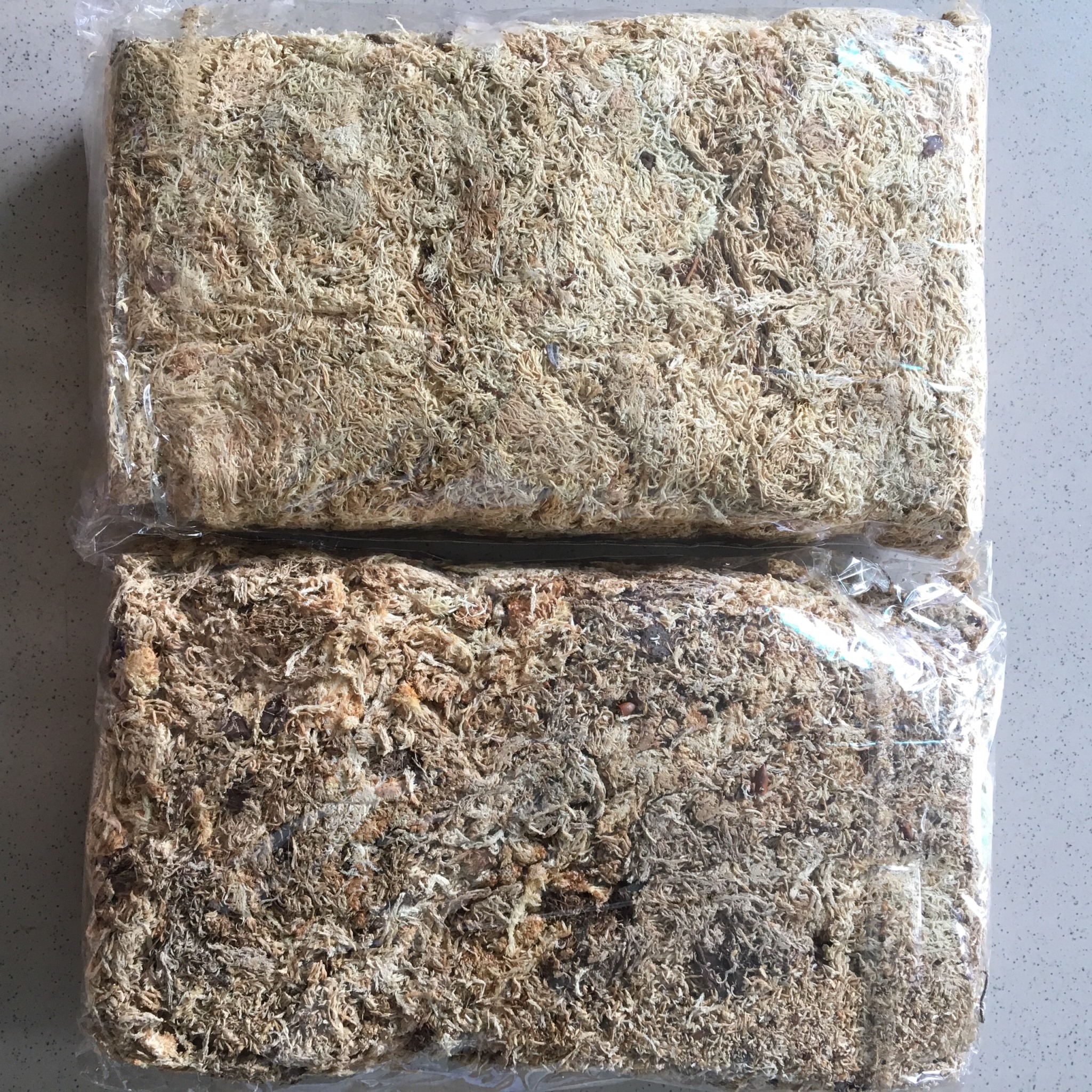 DỚN CHILE GÓI 100GR - RÊU TRẮNG