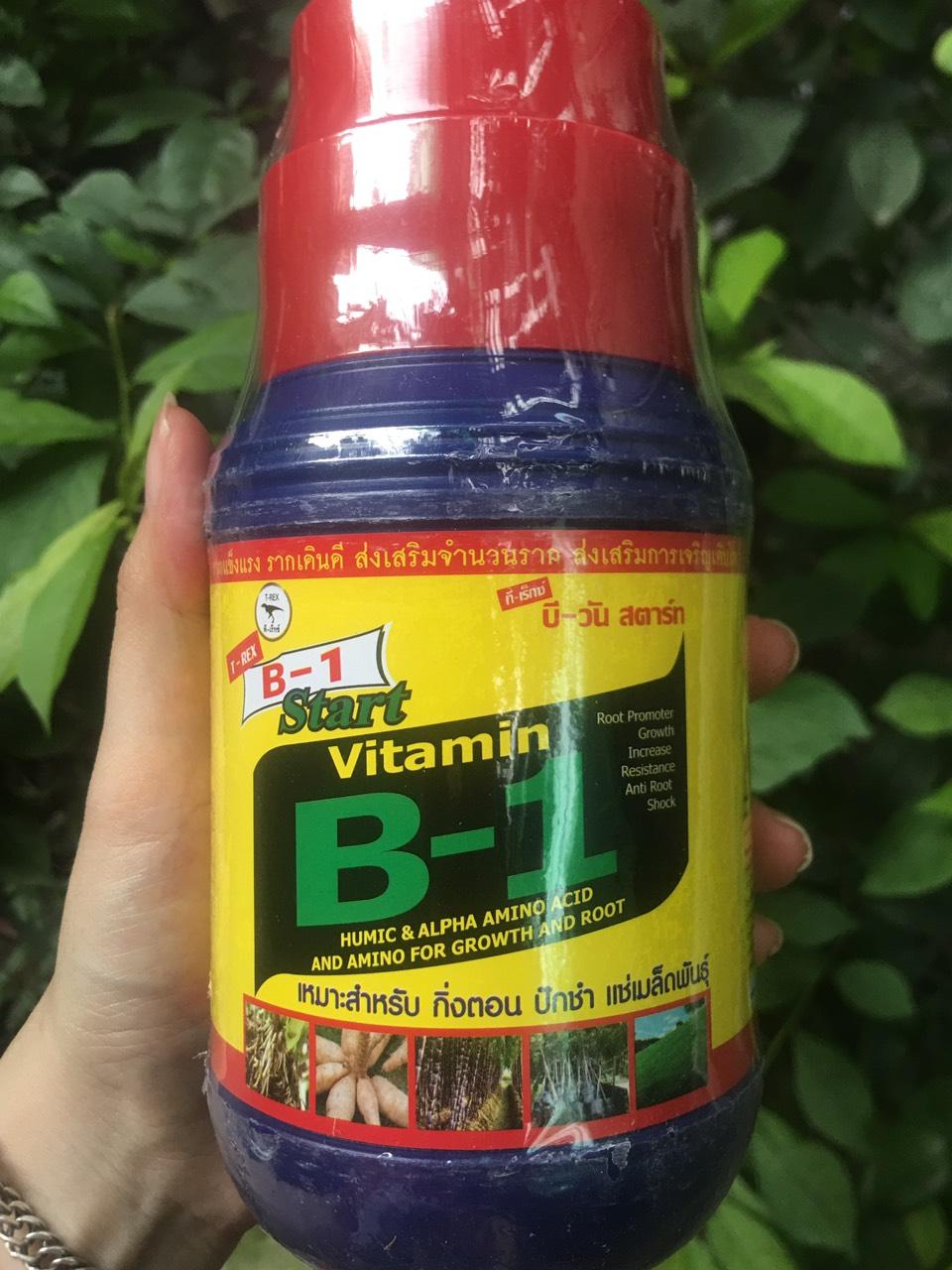Vitamin B1 - Công thức siêu ra rễ (500ml)