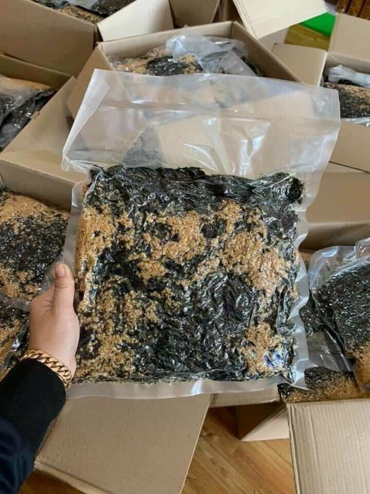 [HCM]????RONG BIỂN CHÁY TỎI ????
