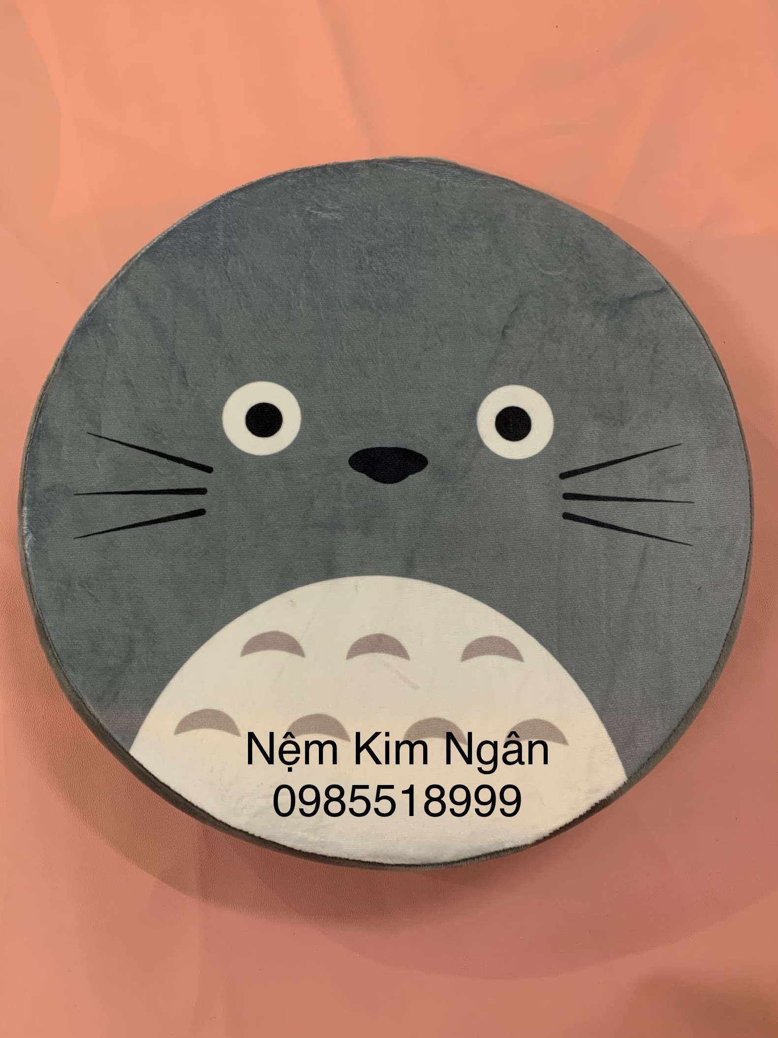 Nệm Ngồi Hoạt Hình