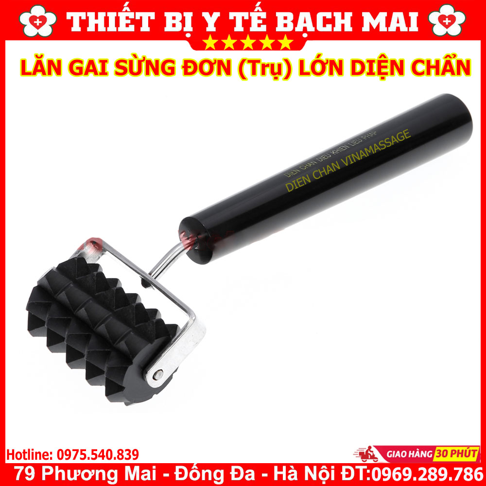 Lăn gai sừng lớn - lăn sừng đơn lớn diện chẩn