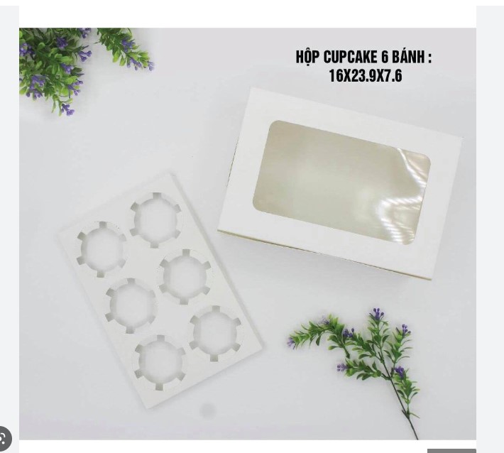Hộp giấy cupcake 6 ô màu trắng