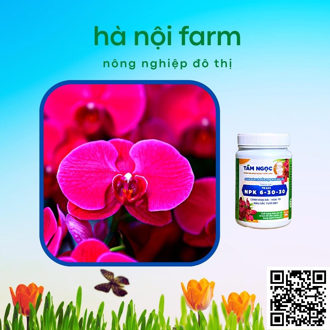 phân bón lan NPK 6-30-30 Tám ngọc 100g