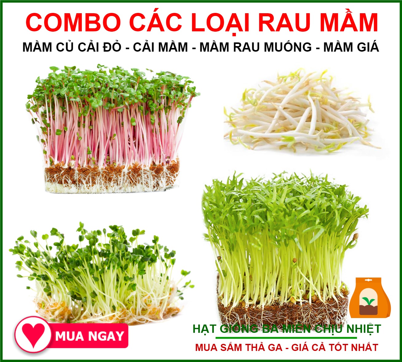 Combo 4 loại hạt giống cải mầm, mầm củ cải đỏ, mầm rau muống, mầm giá