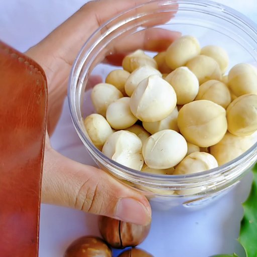 HẠT MACCA SẤY DAKLAK SẤY CHÍN CHUẨN SẠCH (NỨT VỎ)