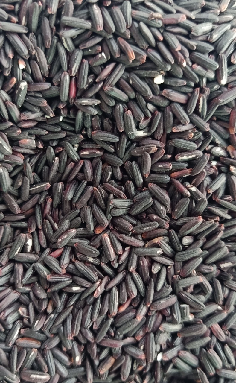 Gạo Lức Tím Than 3kg