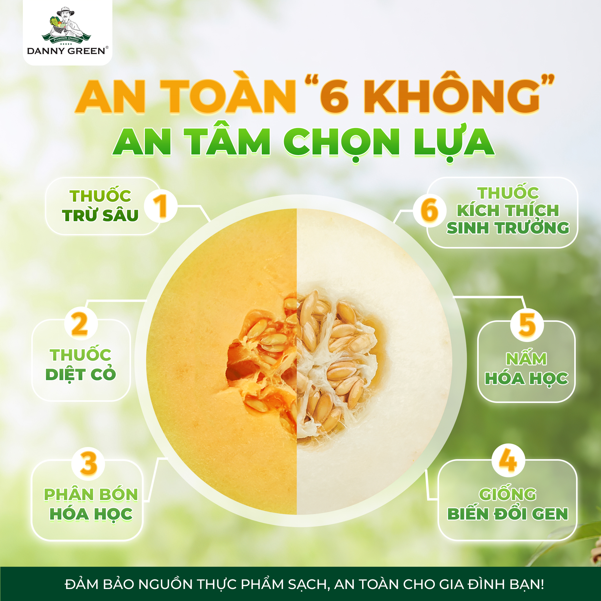 Dưa Lưới Biển Ngọc Bích Hữu Cơ DannyGreen